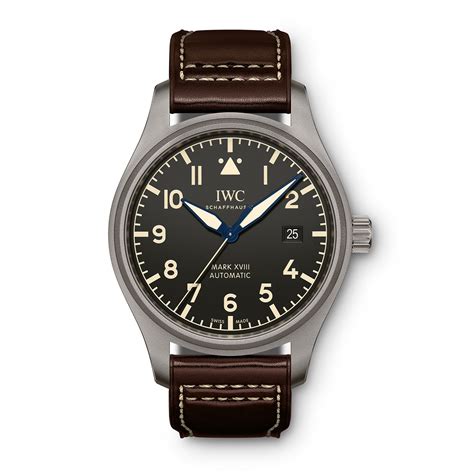 best iwc titanium watch